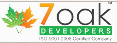 Developer Logo