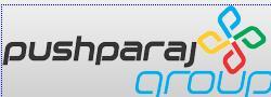 Developer Logo