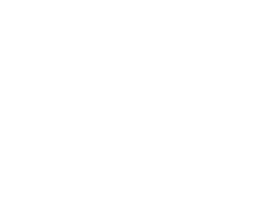Developer Logo