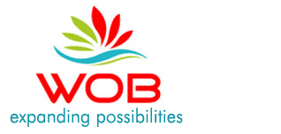 Developer Logo