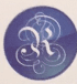 Developer Logo
