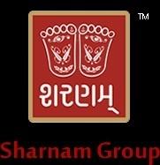 Developer Logo