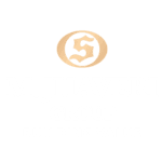 Developer Logo