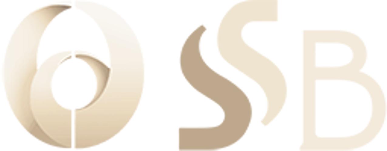 Developer Logo