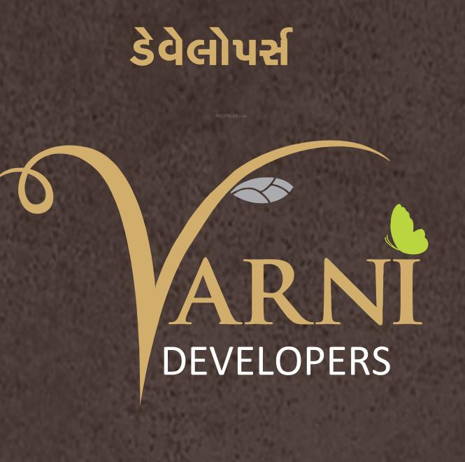Developer Logo