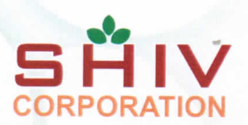 Developer Logo