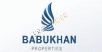 Developer Logo