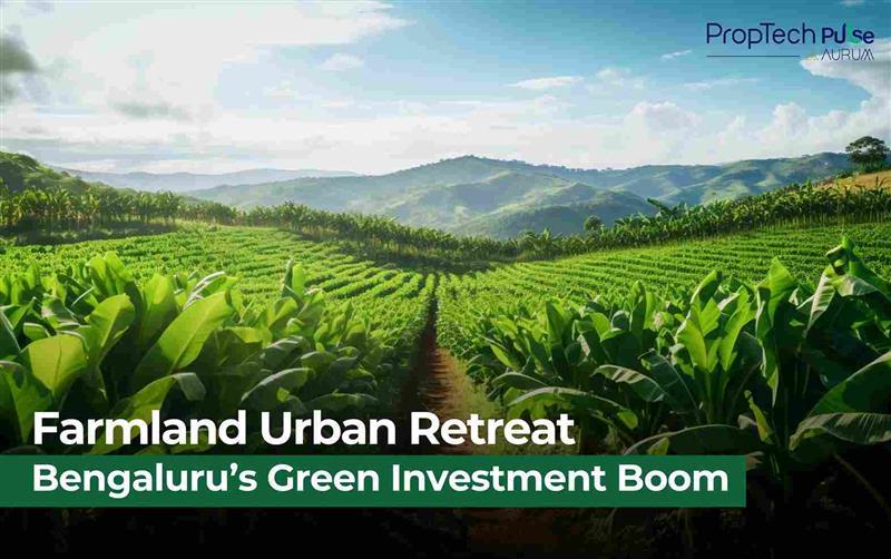 Bengaluru’s Countryside Boom: Urbanites Seek Serenity in Farmland
