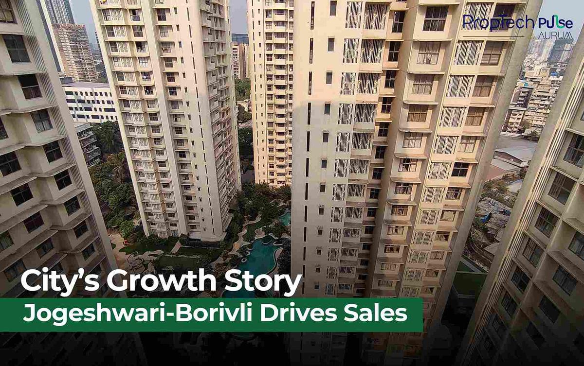 City's Growth Story