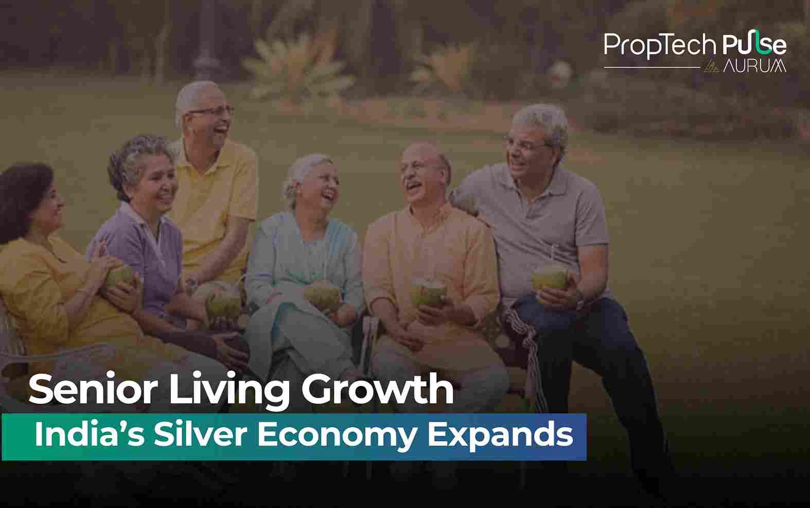 India's Silver Economy