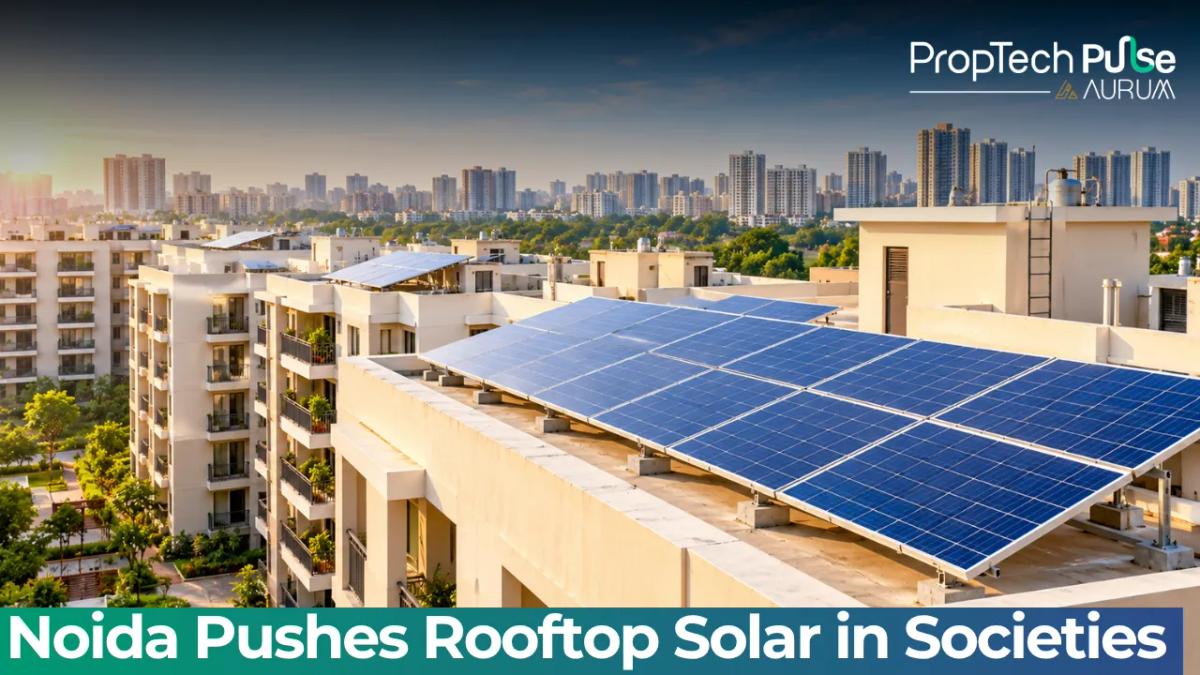 Rooftop solar panels installed on a housing society in Noida under the PM Surya Ghar scheme