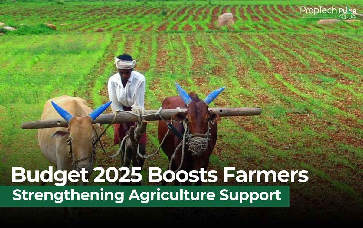 Budget 2025: A Bold Move for the Middle Class, Farmers & Bihar