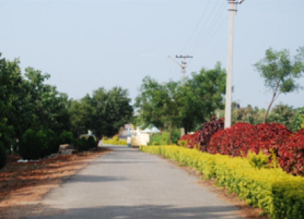 dream-city-2 Internal Roads