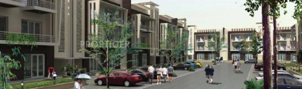 Images for Elevation of Orchid Island