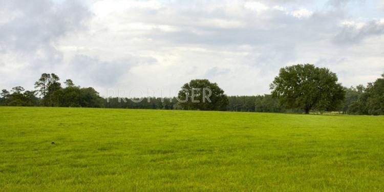 Images for Elevation of Sutapa Sutapa Land Project