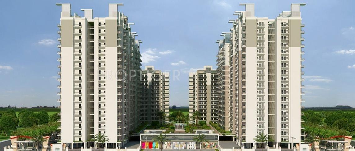 platinum-zeta-1 Images for Elevation of Ace Platinum Zeta 1