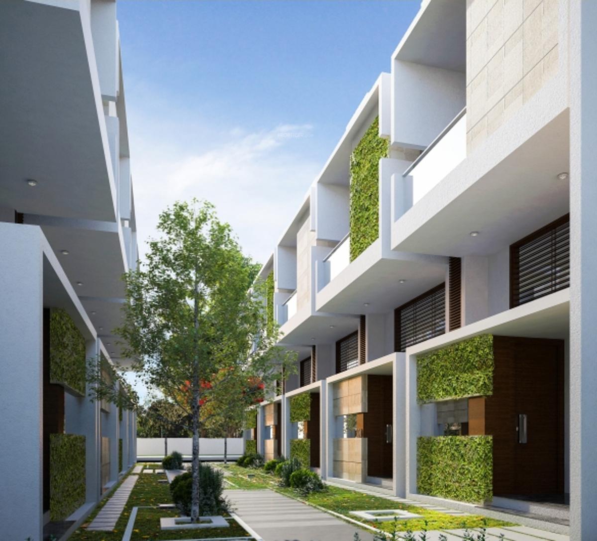 zen-garden Images for Elevation of Citrus Zen Garden