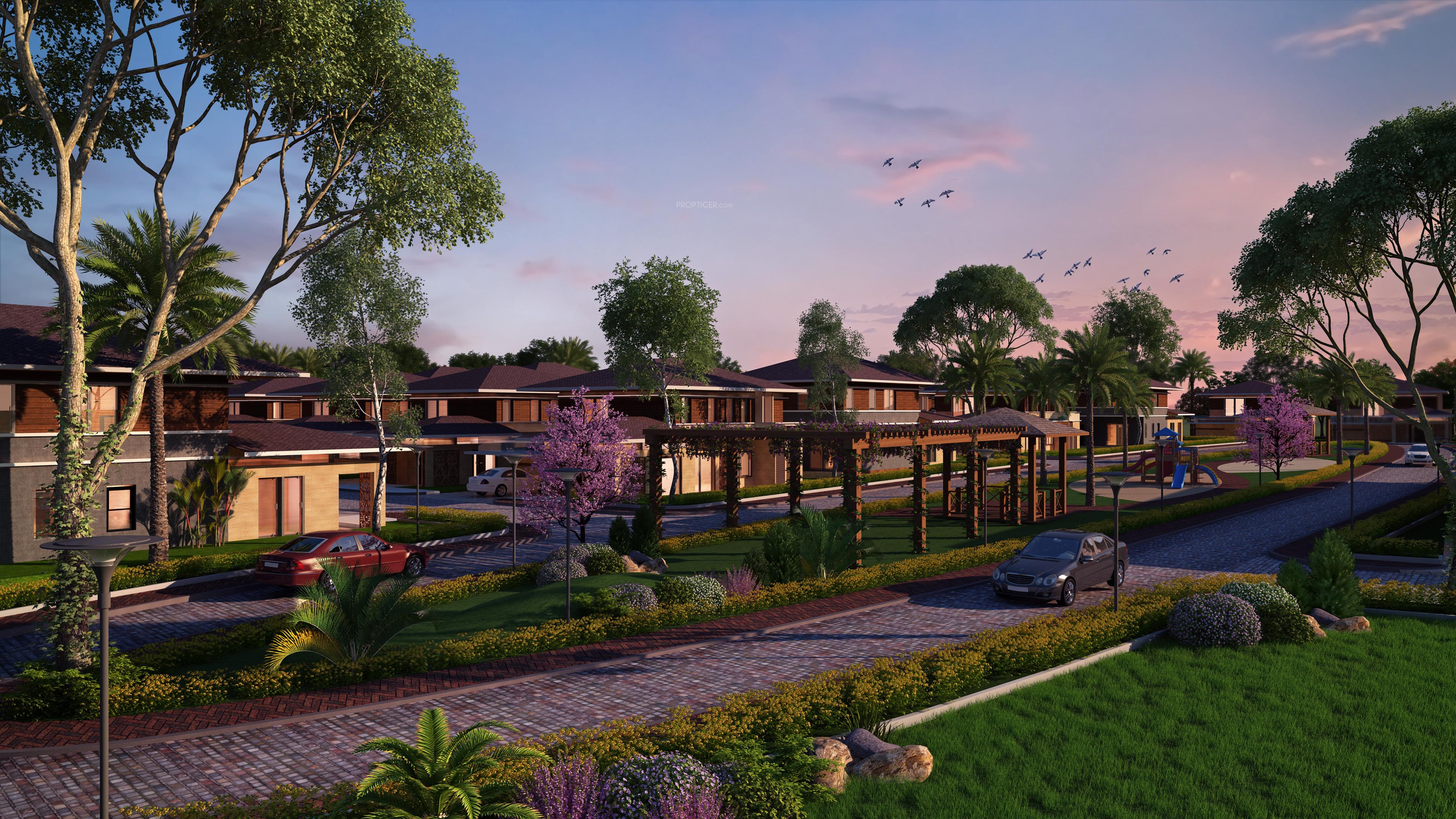 samarth Images for Elevation of Chaithanya Samarth