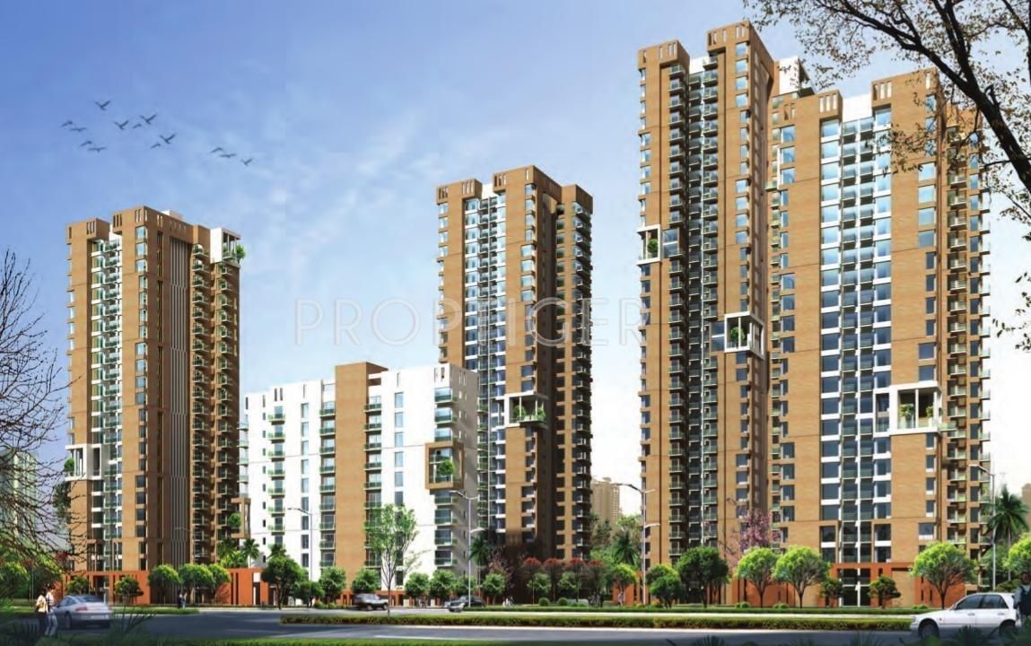 park Images for Elevation of Pioneer Pioneer Park PH 1