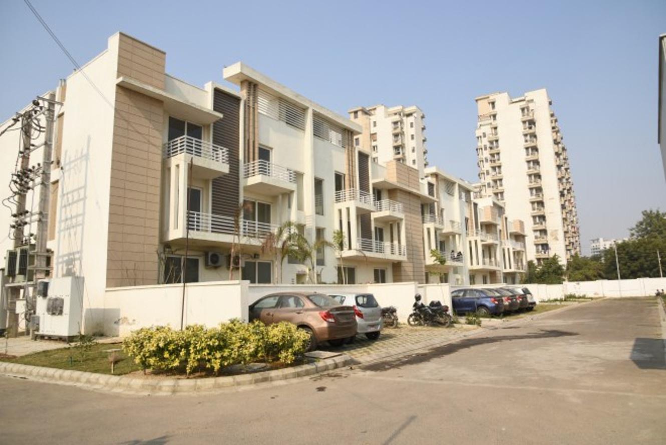 courtyard Images for Elevation of Roots Roots Courtyard