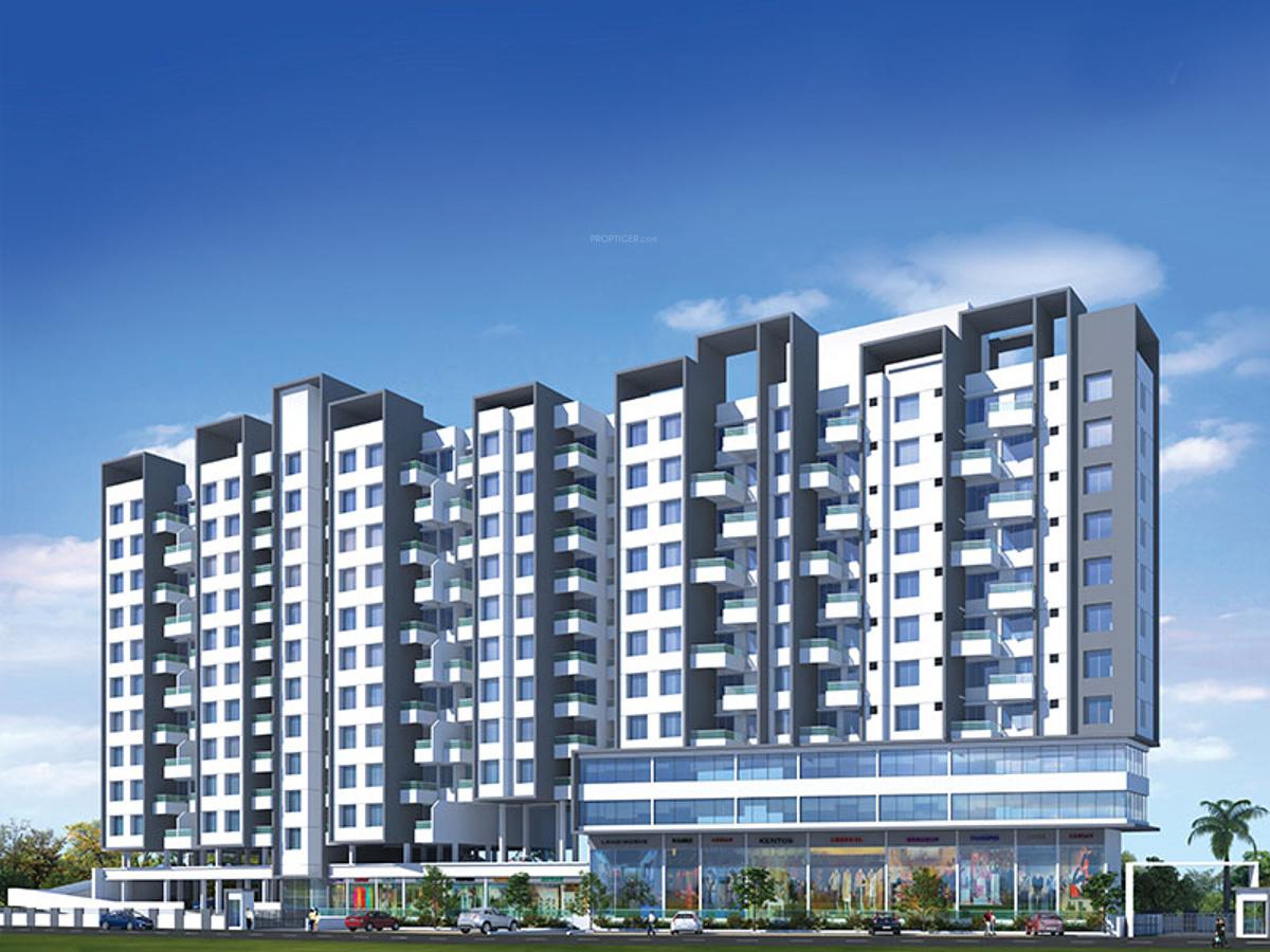 Images for Elevation of Zinnia Elegans