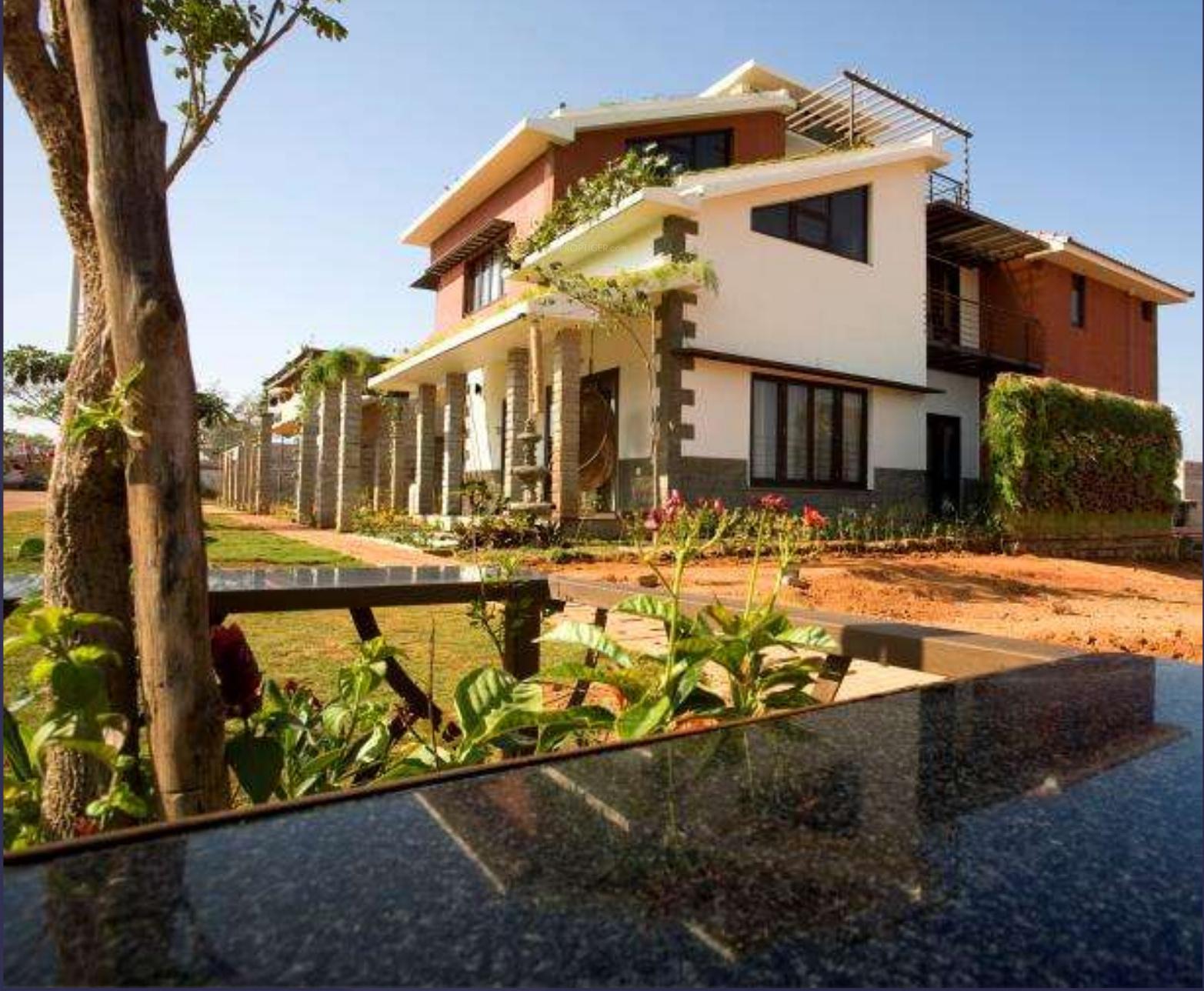 Images for Elevation of ZED Rainforest