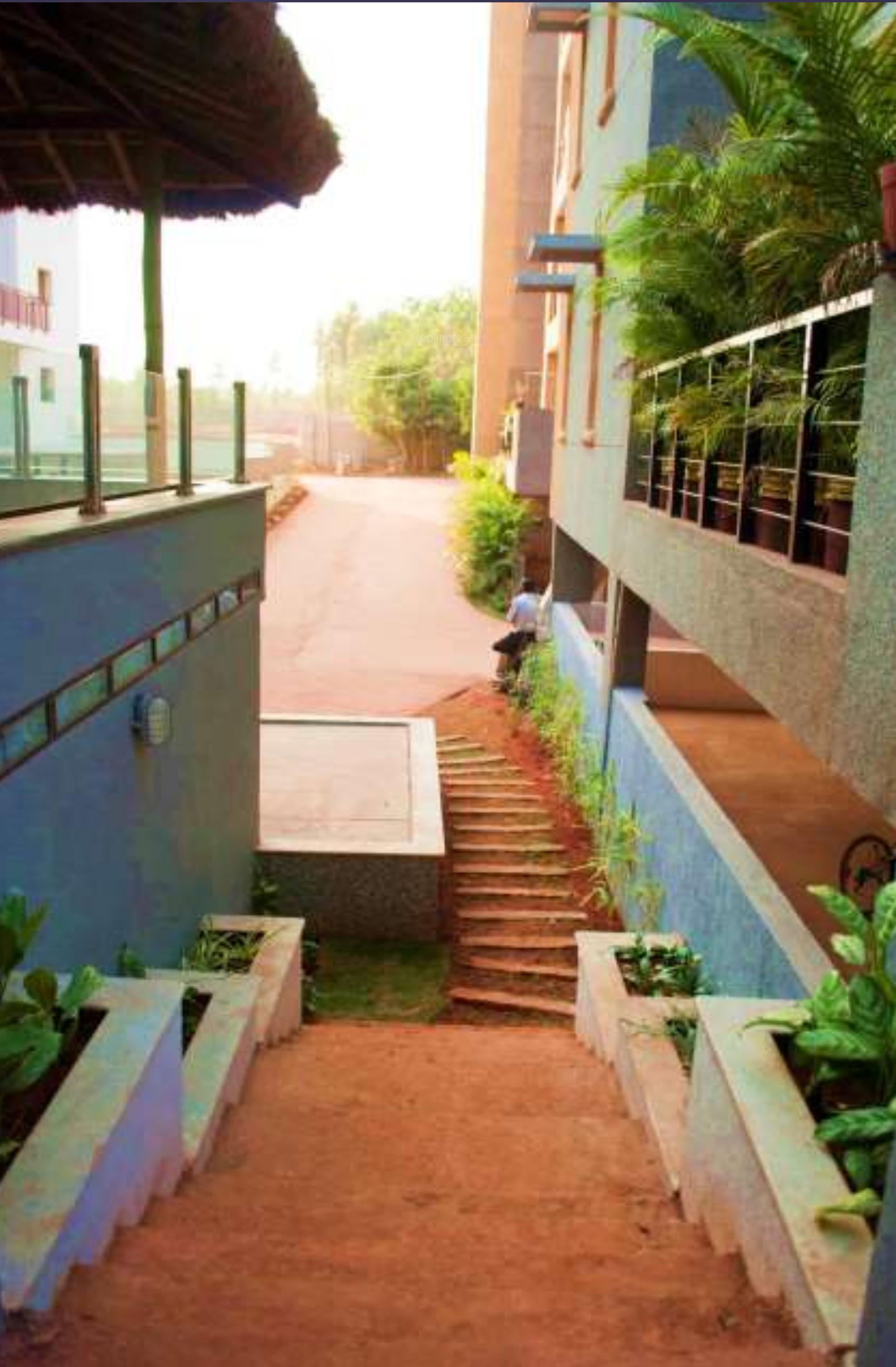 Images for Elevation of ZED Rainforest