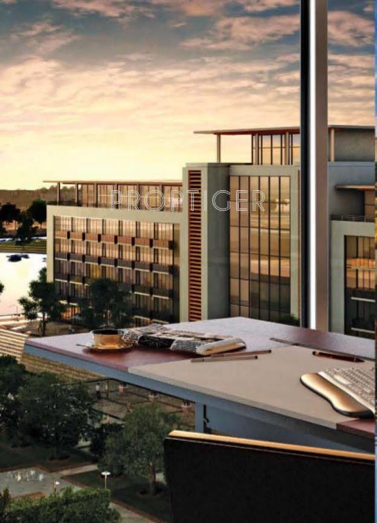 Images for Elevation of Ireo Waterfront