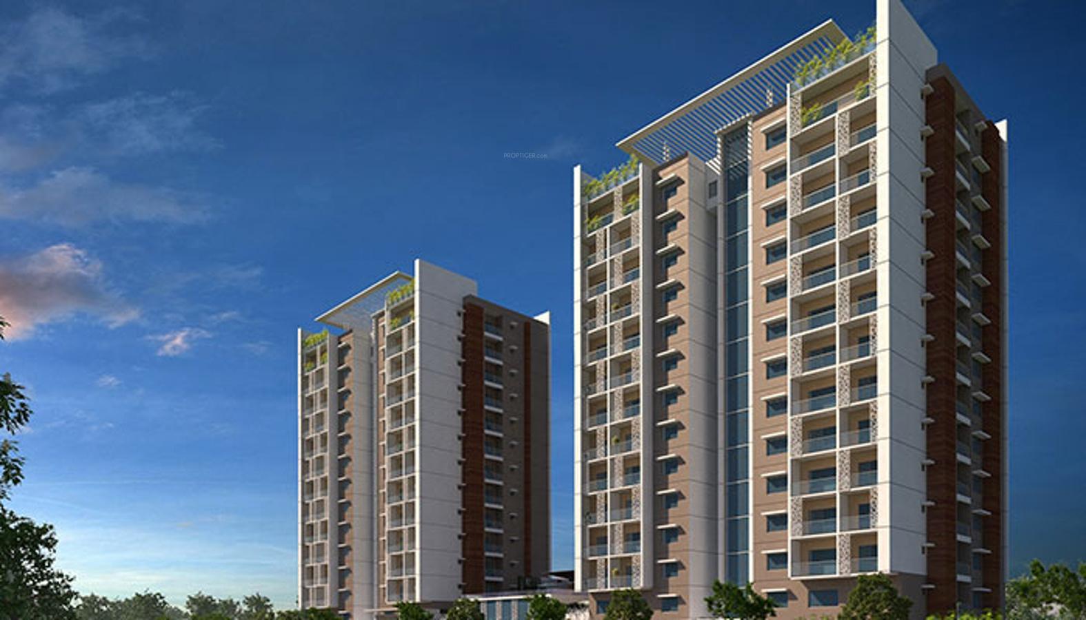 pole-star Images for Elevation of Ozone Pole Star