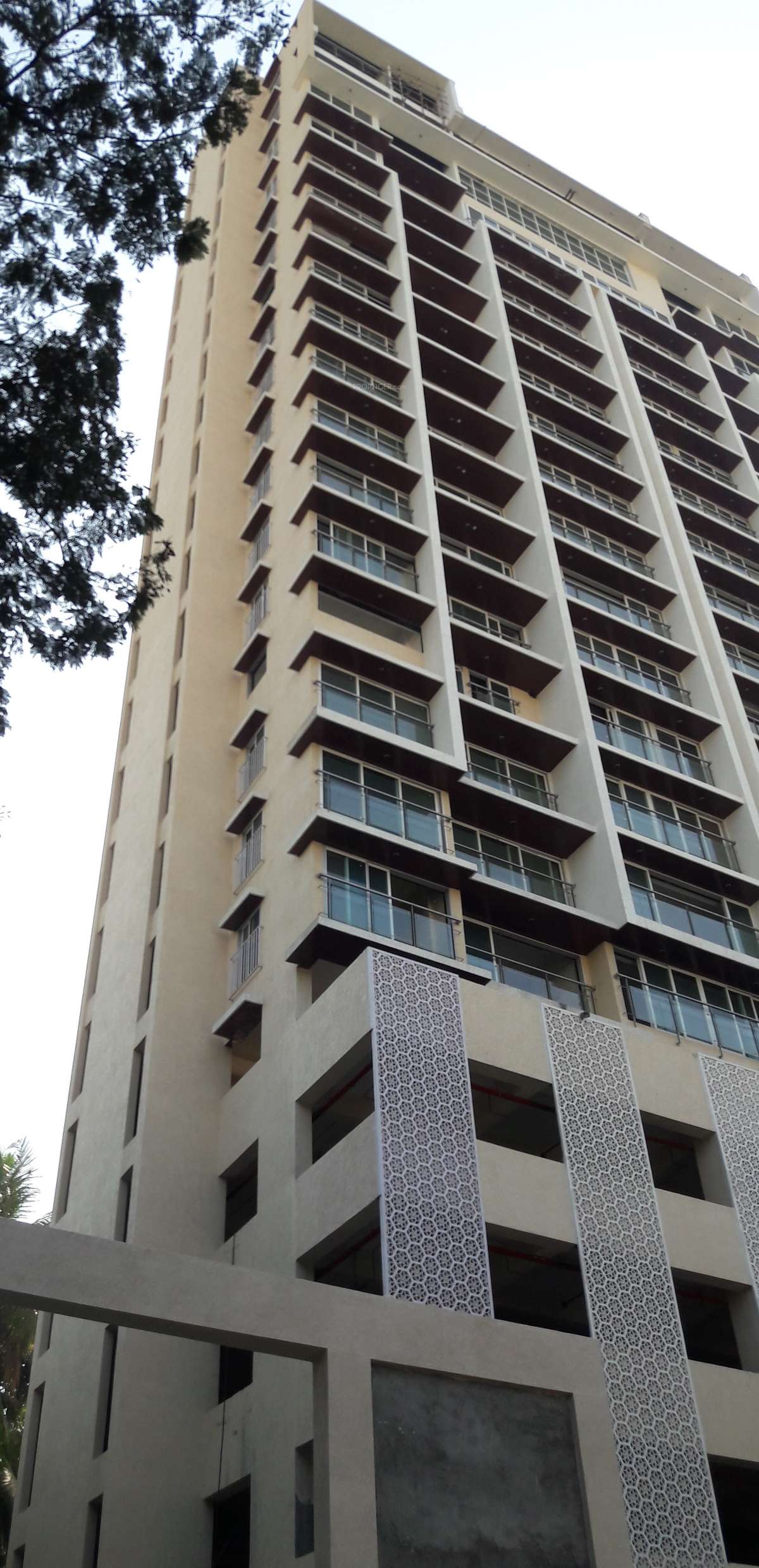 21-hills Elevation