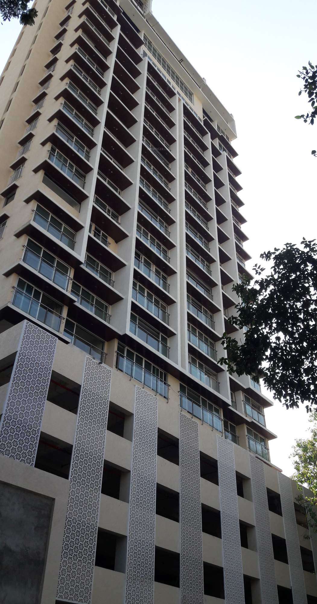 21-hills Elevation