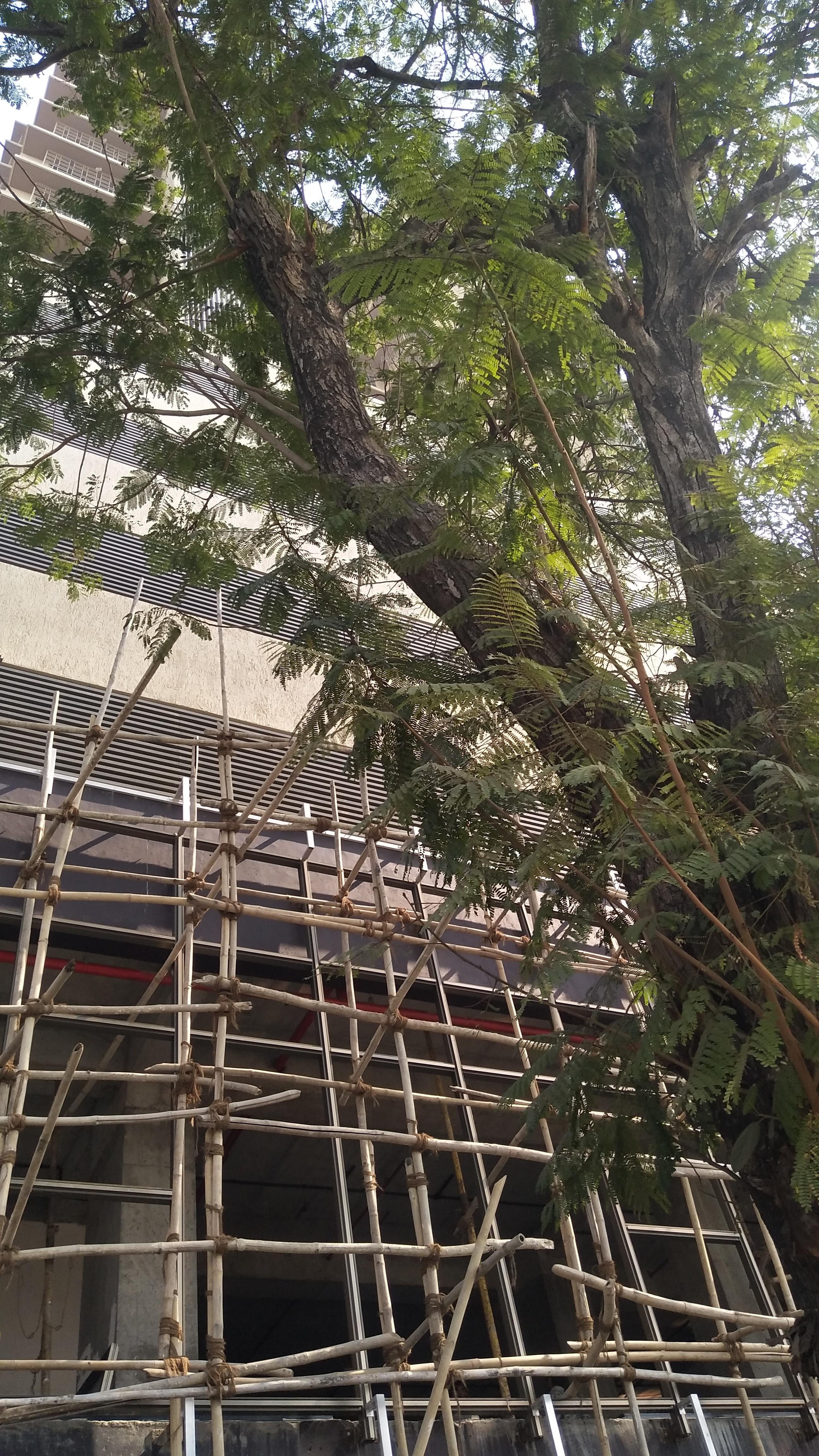 Images for constructionStatus