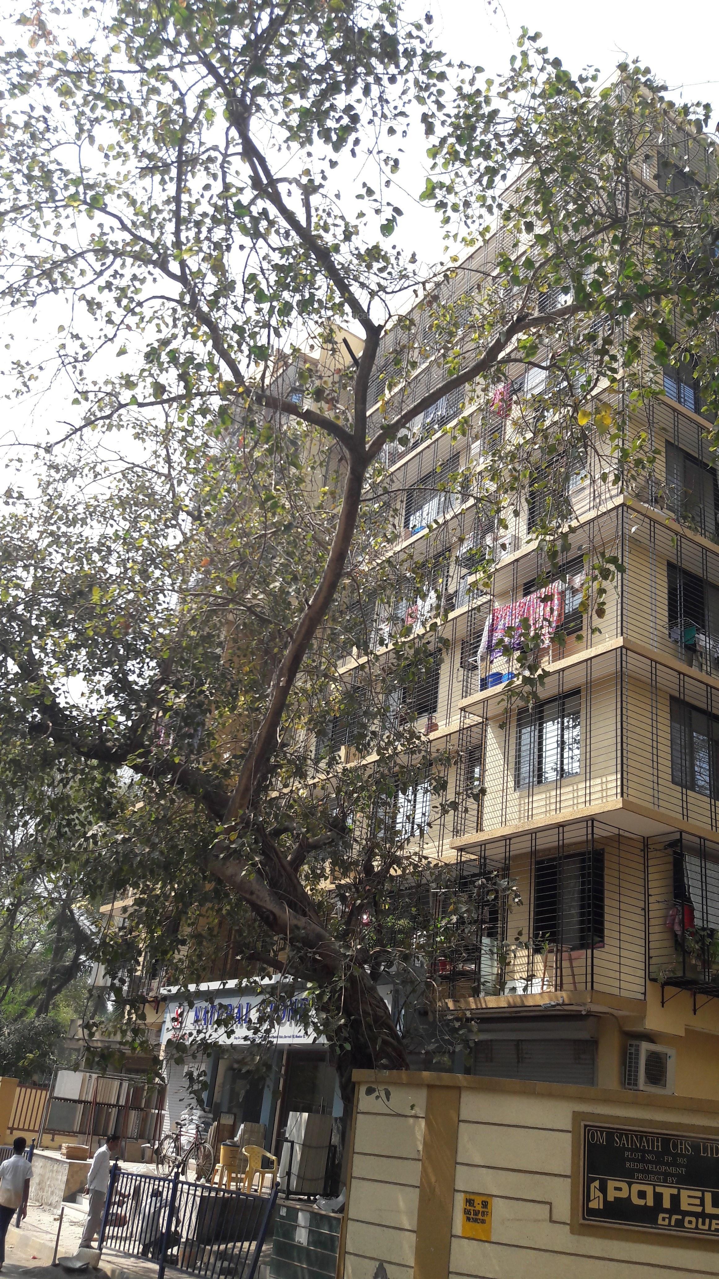 om-sainath-chsl Elevation