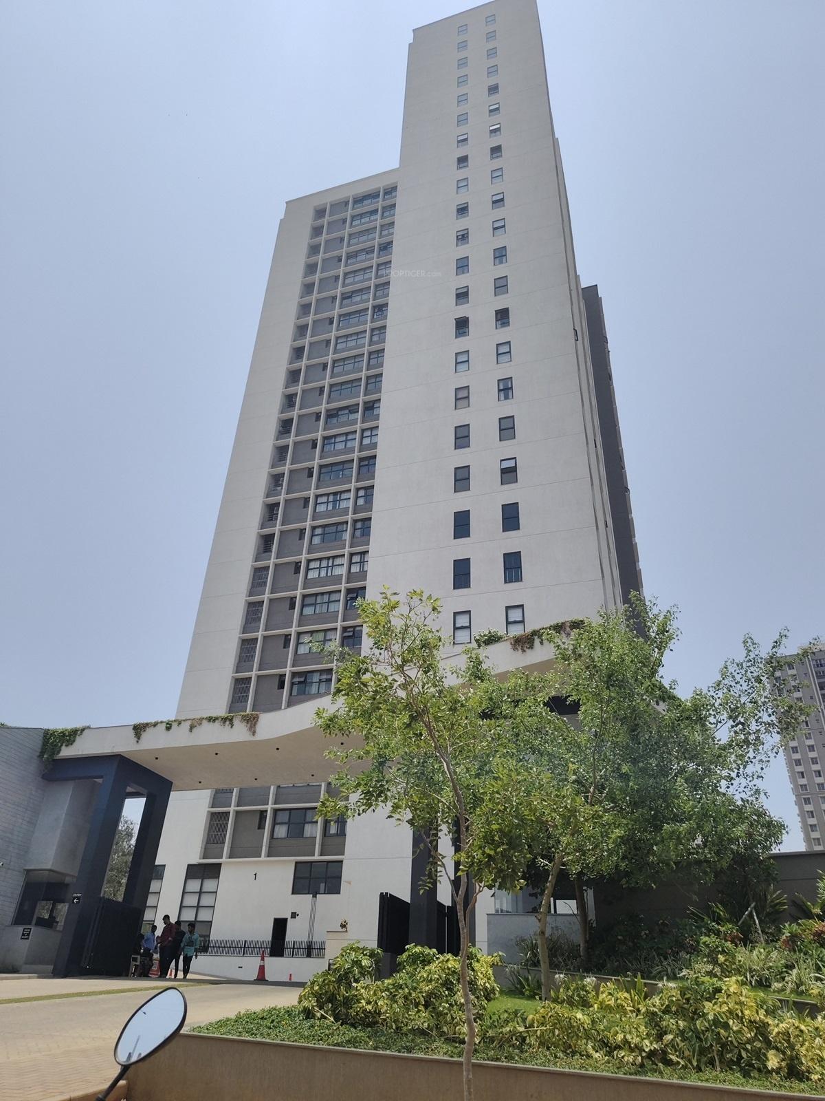 forest-edge Elevation