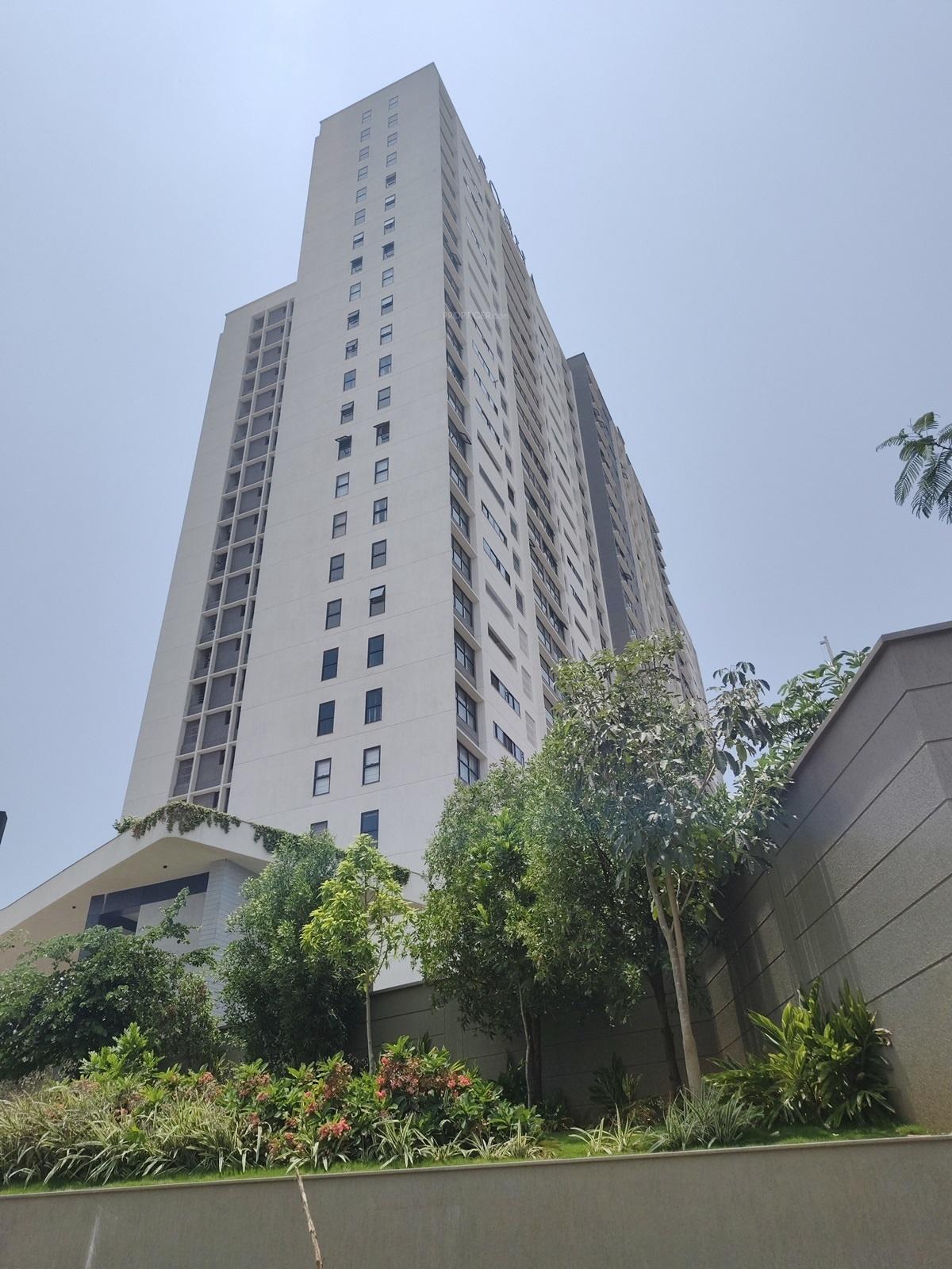 forest-edge Elevation