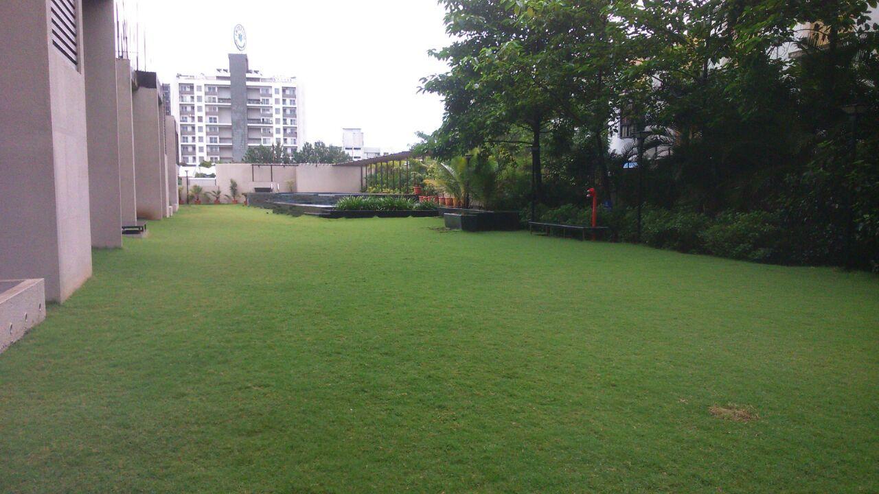 the-terraces-phase-2 Elevation