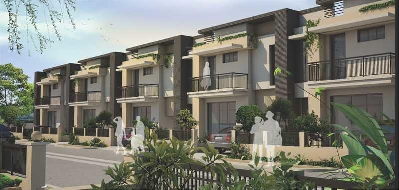 green-acres Elevation