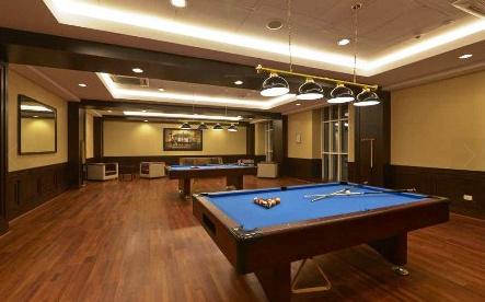 carmel-heights Billiards/Snooker Table