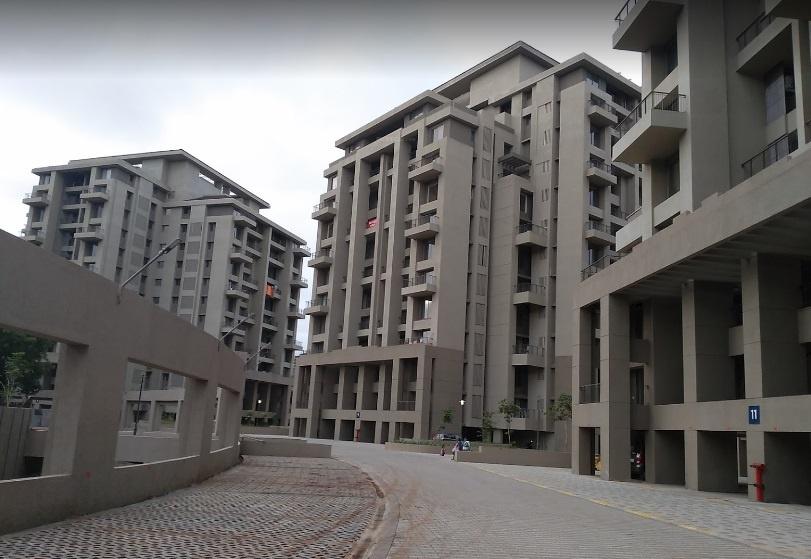 songbirds-phase-e Elevation