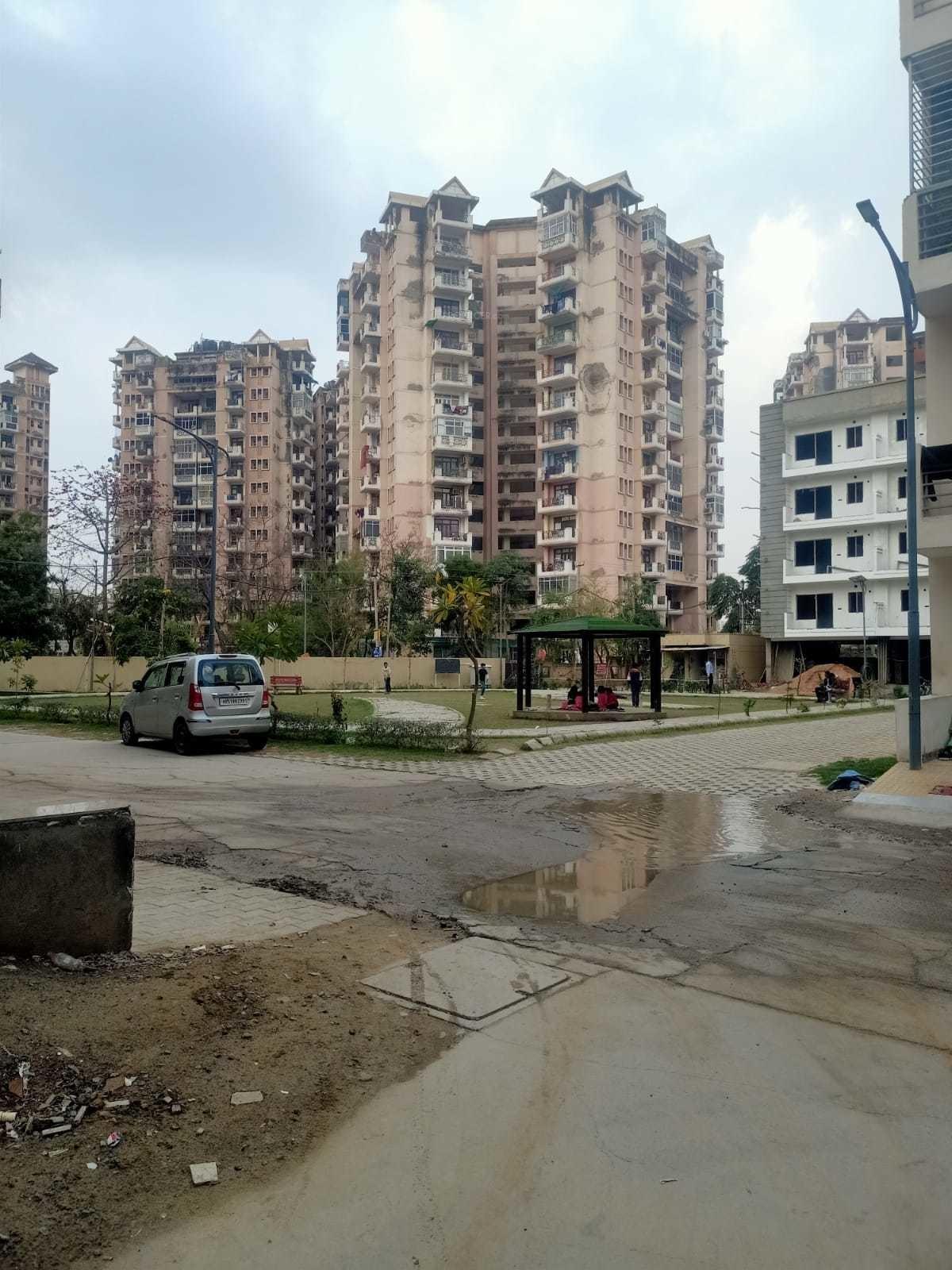 palm-drive Elevation