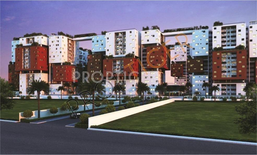 Images for Elevation of SPRRG Osian Chlorophyll