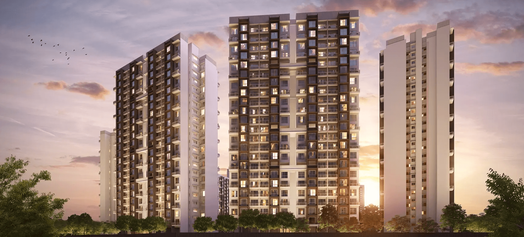 forest-grove Elevation