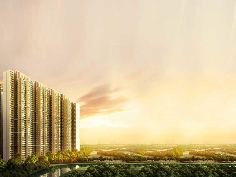 nexzone-aster-2 Elevation