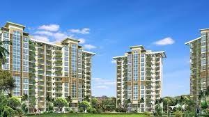 palm-select Elevation