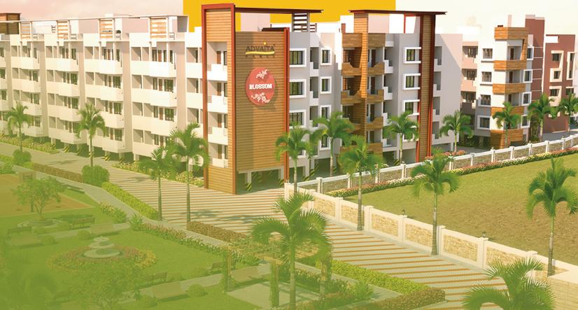 blossom-phase-ii Elevation