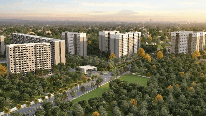 dream-acres-oasis-phase-27-wing-55-56-57-and-58 Elevation