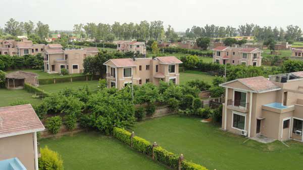 greens Elevation