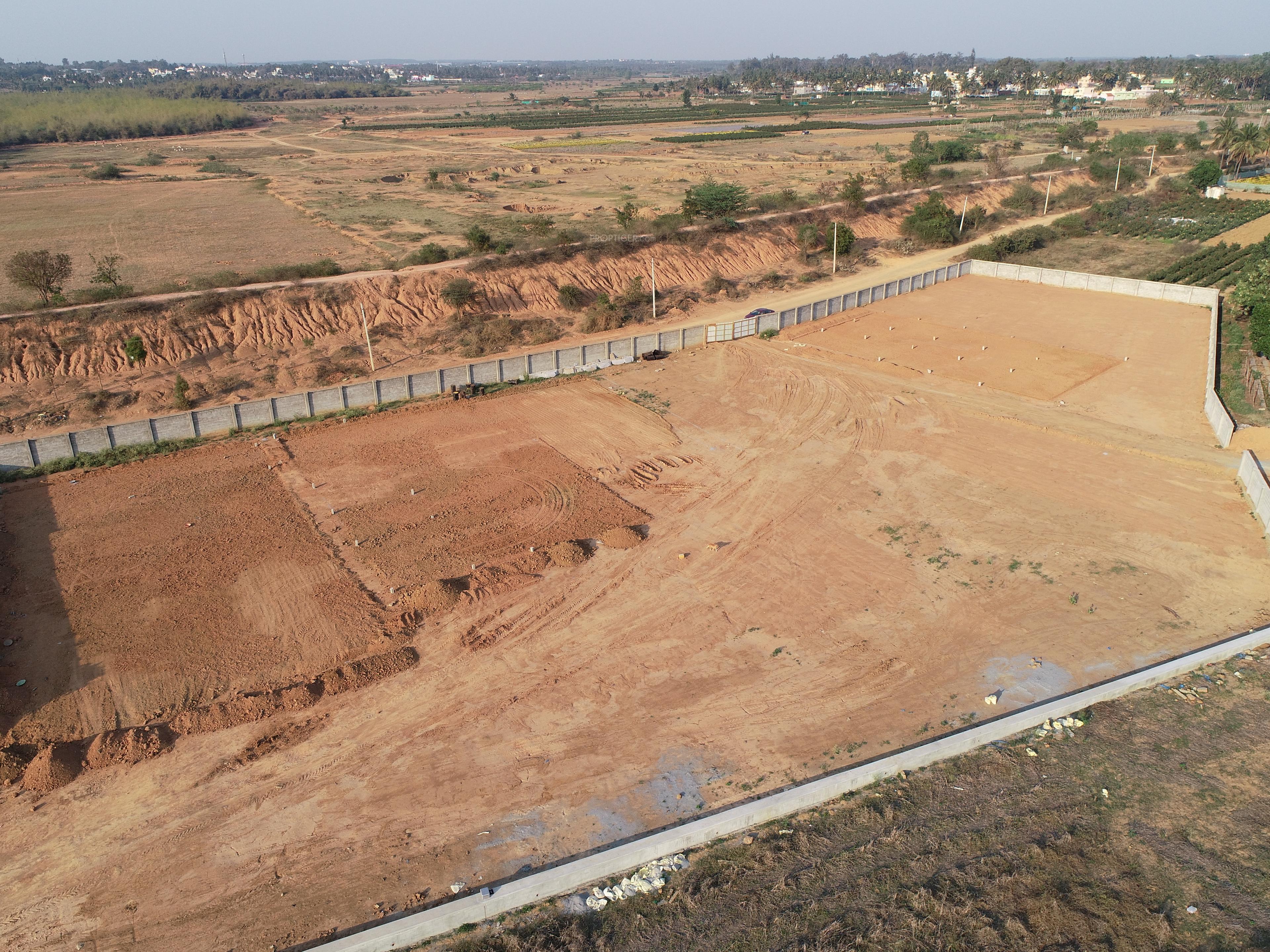 palm-county Elevation