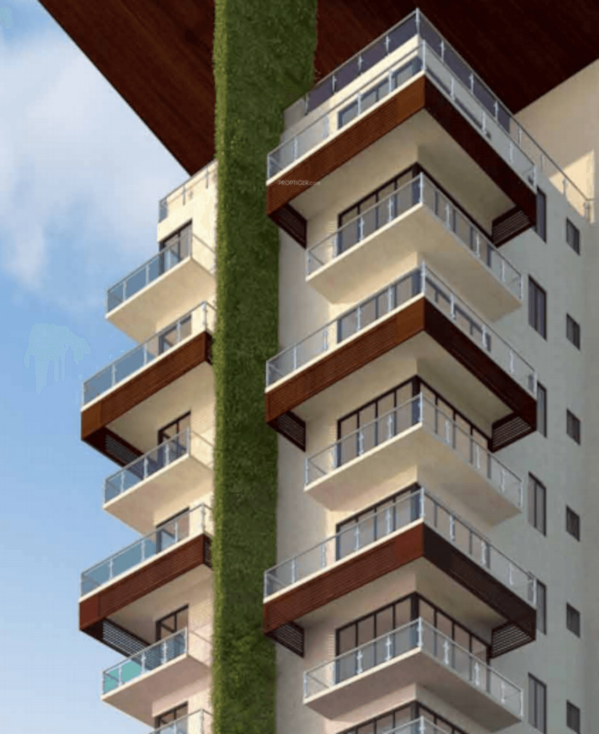 ranka-iris Elevation