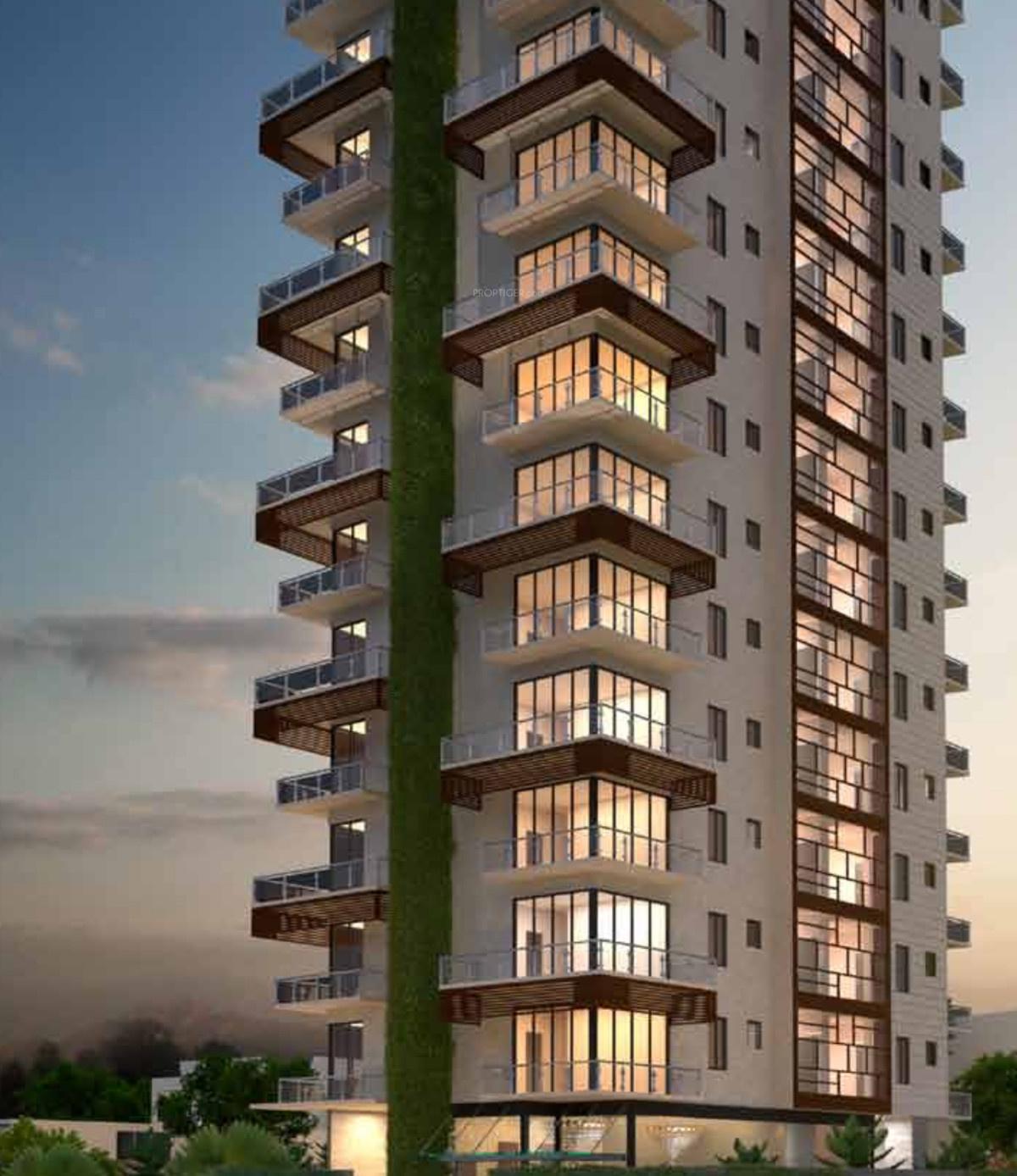 ranka-iris Elevation